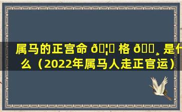 属马的正宫命 🦅 格 🌸 是什么（2022年属马人走正官运）
